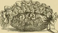 An illustration from Fancy work for pleasure and profit (1905)