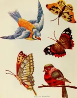 An illustration from Fancy work for pleasure and profit (1905)