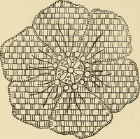 An illustration from Fancy work for pleasure and profit (1905)
