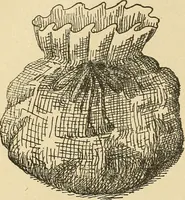 An illustration from Fancy work for pleasure and profit (1905)