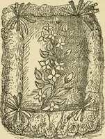An illustration from Fancy work for pleasure and profit (1905)