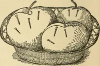 An illustration from Fancy work for pleasure and profit (1905)