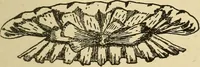 An illustration from Fancy work for pleasure and profit (1905)