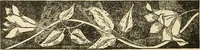 An illustration from Fancy work for pleasure and profit (1905)