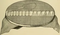 Picture 276 of 437 from Fancy work for pleasure and profit (1905), leaf 267