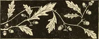 An illustration from Fancy work for pleasure and profit (1905)