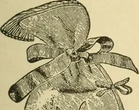 An illustration from Fancy work for pleasure and profit (1905)
