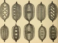 An illustration from Fancy work for pleasure and profit (1905)