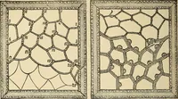 An illustration from Fancy work for pleasure and profit (1905)