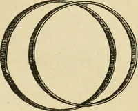 An illustration from Fancy work for pleasure and profit (1905)