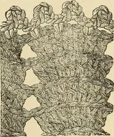 An illustration from Fancy work for pleasure and profit (1905)