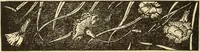 An illustration from Fancy work for pleasure and profit (1905)