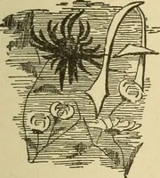 An illustration from Fancy work for pleasure and profit (1905)
