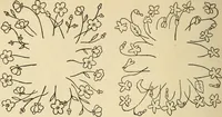 An illustration from Fancy work for pleasure and profit (1905)