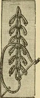 An illustration from Fancy work for pleasure and profit (1905)