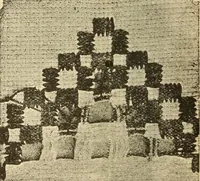 An illustration from Fancy work for pleasure and profit (1905)