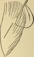 An illustration from Fancy work for pleasure and profit (1905)