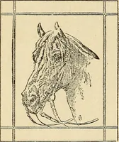 An illustration from Fancy work for pleasure and profit (1905)