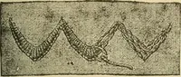 An illustration from Fancy work for pleasure and profit (1905)
