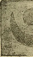 An illustration from Fancy work for pleasure and profit (1905)