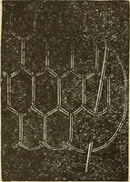 An illustration from Fancy work for pleasure and profit (1905)