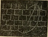 An illustration from Fancy work for pleasure and profit (1905)