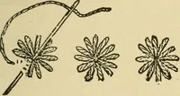 An illustration from Fancy work for pleasure and profit (1905)