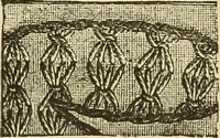 An illustration from Fancy work for pleasure and profit (1905)