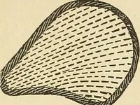 An illustration from Fancy work for pleasure and profit (1905)