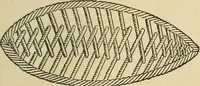 An illustration from Fancy work for pleasure and profit (1905)