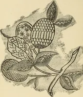 An illustration from Fancy work for pleasure and profit (1905)