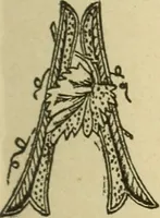 An illustration from Fancy work for pleasure and profit (1905)