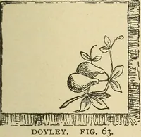 An illustration from Fancy work for pleasure and profit (1905)