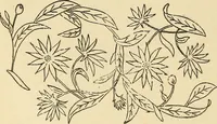 An illustration from Fancy work for pleasure and profit (1905)