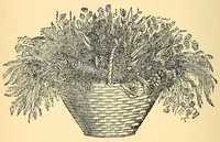 An illustration from Fancy work recreations : a complete guide to knitting, crochet, and home adornment (1885)
