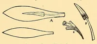 An illustration from Fancy work recreations : a complete guide to knitting, crochet, and home adornment (1885)