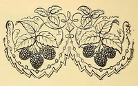 An illustration from Fancy work recreations : a complete guide to knitting, crochet, and home adornment (1885)