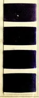 An illustration from Färbungen auf unerschwerter Seide (1930)