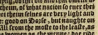 An illustration from The fardle of facions conteining the aunciente maners, customes, and lawes, of the peoples enhabiting the two partes of the earth, called Affrike and Asie (1555)