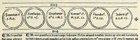 An illustration from Fasciculus temporum omnes antiquorum cronicas co[m]plectens incipit foeliciter