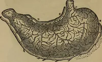 Picture 7 of 18 from Fascination (1848), leaf 52