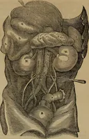 An illustration from Fascination (1848)
