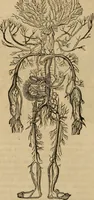 An illustration from Fascination (1848)