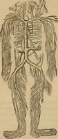 An illustration from Fascination (1848)