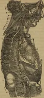 An illustration from Fascination (1848)