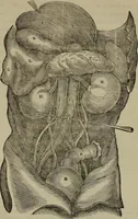 An illustration from Fascination; or the Philosophy of charming, illustrating the principles of life in connection with spirit and matter (1854)