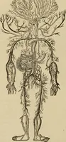 An illustration from Fascination; or the Philosophy of charming, illustrating the principles of life in connection with spirit and matter (1854)