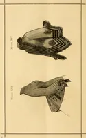An illustration from Fashion book : novelties, costumes, mantles, millinery, etc. (1874)