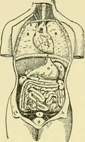 An illustration from Fashion's slaves (1892)