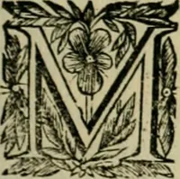 An illustration from Fasti ducales ab Anafesto I. ad Silvestrum Valerium Venetorum ducem : cum eorum iconibus, insignibus, nummismatibus publicis, & privatis aere sculptis : inscriptionibus ex aula M. Consilii, ac sepulchralibus : adiectae sunt adnotationes, ad vitam cuiusque principis, rerum, quae omissae fuerant (1696)
